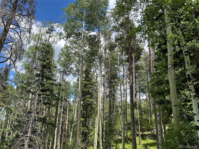 106 Brook Rd, Evergreen, CO 80439 - photo 10