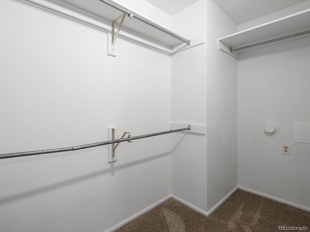 1714 W 102nd Ave, Thornton, CO 80260 - spacious closet with carpet floors