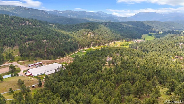 2013 Swede Gulch Rd, Evergreen, CO 80439 - photo 44