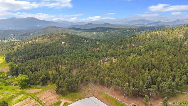 2013 Swede Gulch Rd, Evergreen, CO 80439 - photo 45