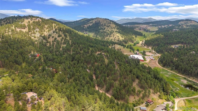2013 Swede Gulch Rd, Evergreen, CO 80439 - photo 46