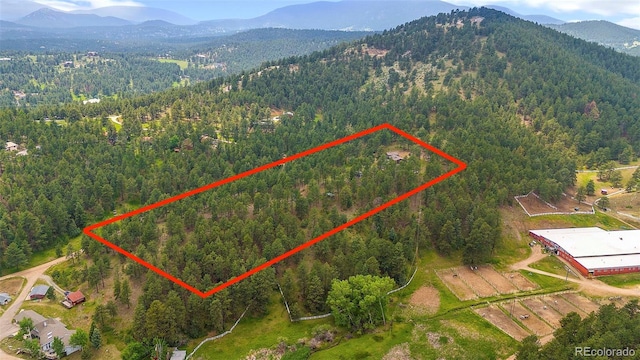 2013 Swede Gulch Rd, Evergreen, CO 80439 - photo 47