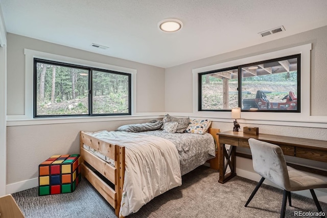 2013 Swede Gulch Rd, Evergreen, CO 80439 - photo 30