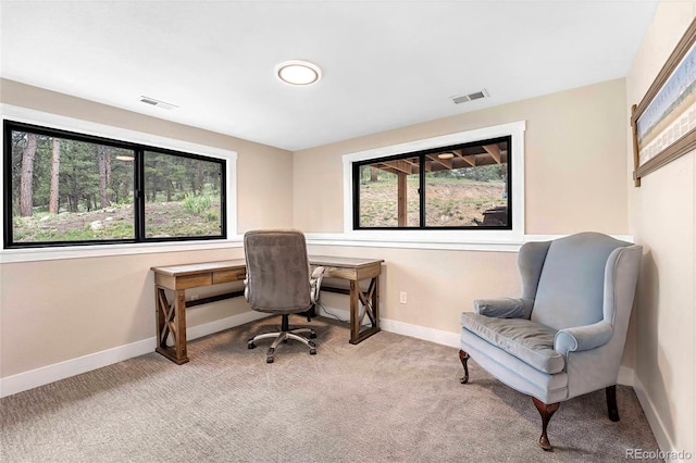 2013 Swede Gulch Rd, Evergreen, CO 80439 - photo 34