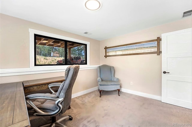 2013 Swede Gulch Rd, Evergreen, CO 80439 - photo 35