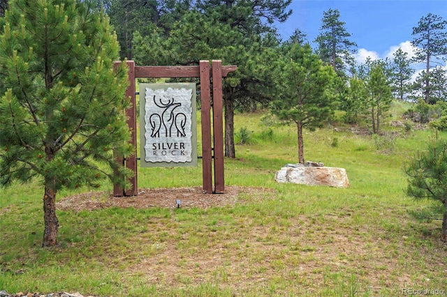 2013 Swede Gulch Rd, Evergreen, CO 80439 - photo 39