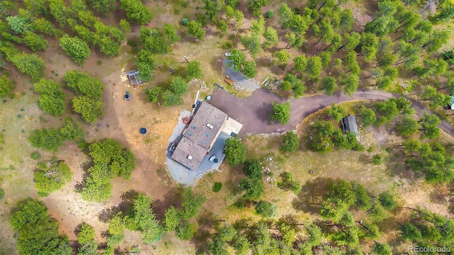 2013 Swede Gulch Rd, Evergreen, CO 80439 - photo 40
