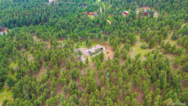 2013 Swede Gulch Rd, Evergreen, CO 80439 - photo 41