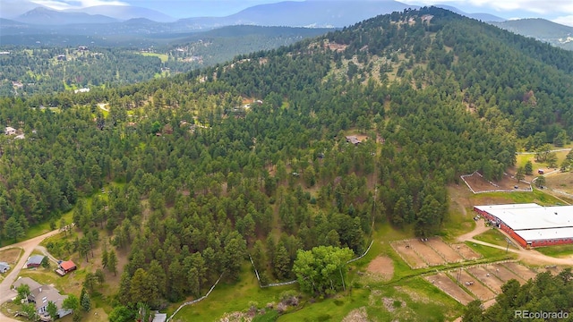 2013 Swede Gulch Rd, Evergreen, CO 80439 - photo 42