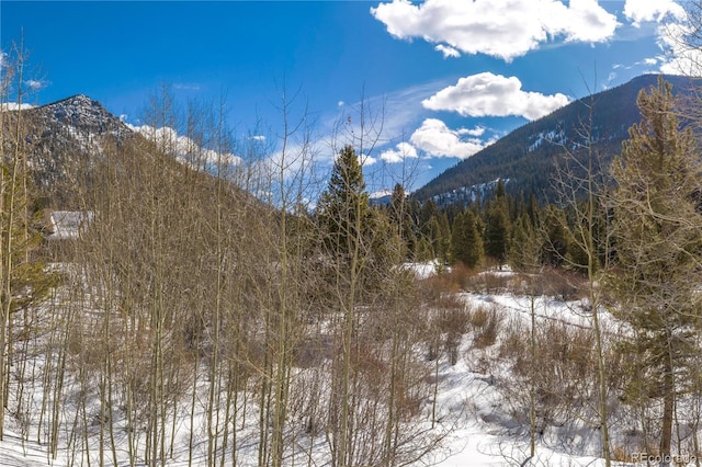 view of mountain feature with a forest view