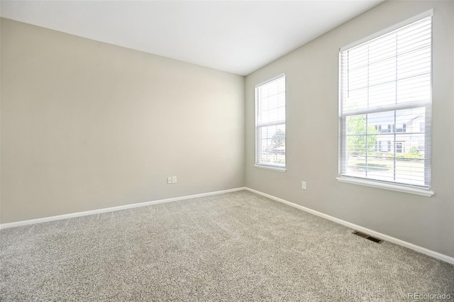 479 Caprice Ct, Colorado Springs, CO 80921 - photo 8