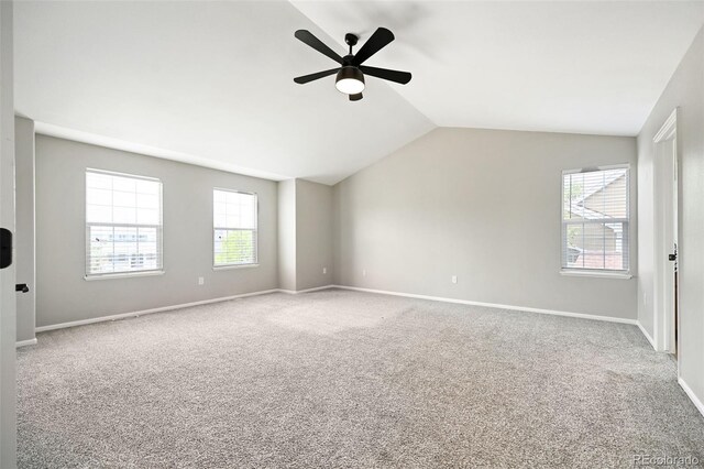 479 Caprice Ct, Colorado Springs, CO 80921 - photo 20