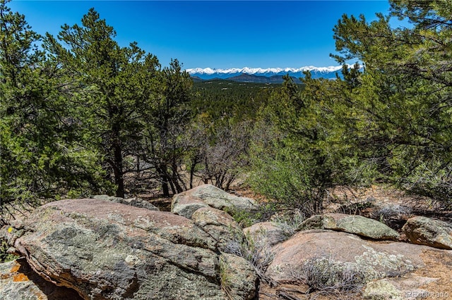 TR-17 White Wing Way, Cotopaxi, CO 81223
