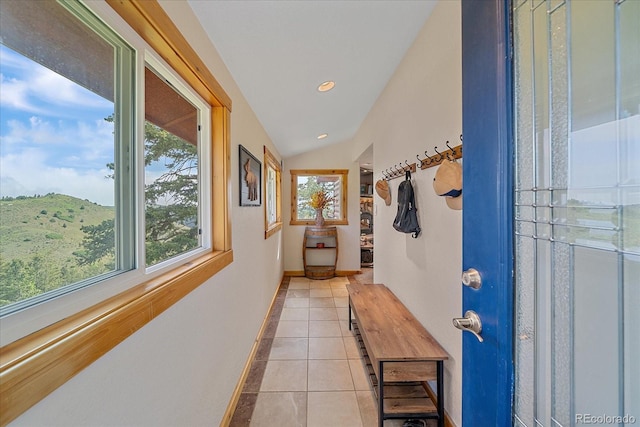 10390 Hondah Dr, Littleton, CO 80127 - photo 9