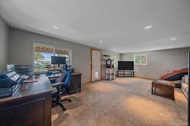 10390 Hondah Dr, Littleton, CO 80127 - photo 26