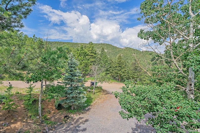 10390 Hondah Dr, Littleton, CO 80127 - photo 32