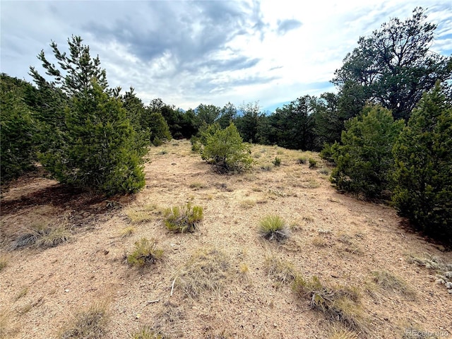 12590 US Highway 50, Howard, CO 81233 - photo 2