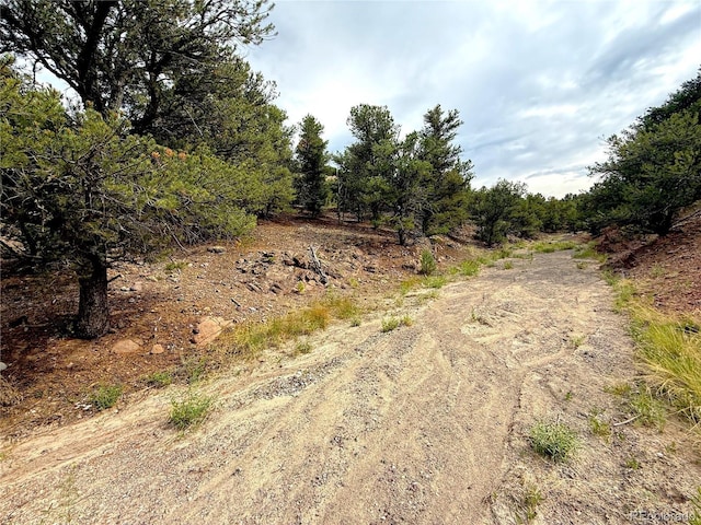 12590 US Highway 50, Howard, CO 81233 - photo 5