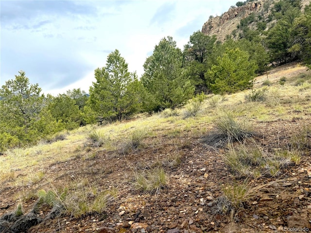 12590 US Highway 50, Howard, CO 81233 - photo 6