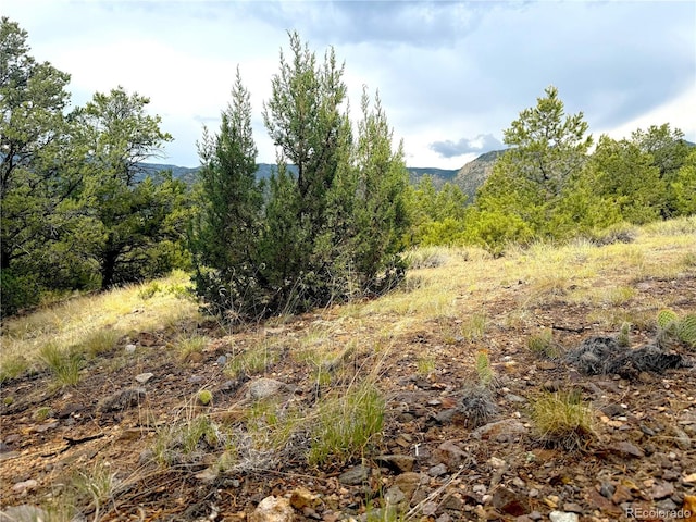 12590 US Highway 50, Howard, CO 81233 - photo 7