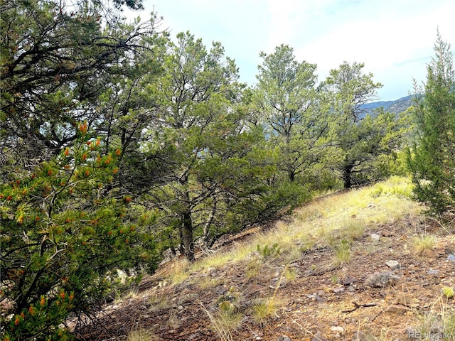 12590 US Highway 50, Howard, CO 81233 - photo 8