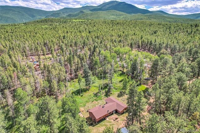 200 Rd P37, Bailey, CO 80421 - bird's eye view of mountains