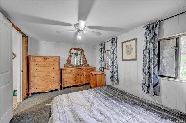 200 Rd P37, Bailey, CO 80421 - carpeted bedroom with multiple windows and ceiling fan