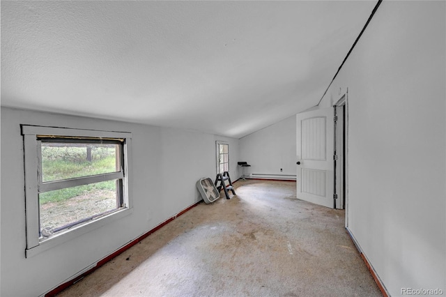 200 Rd P37, Bailey, CO 80421 - empty room with lofted ceiling, baseboard heating, and carpet flooring