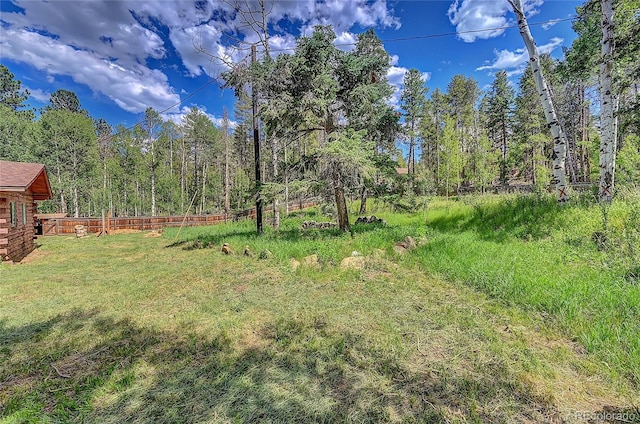 200 Rd P37, Bailey, CO 80421 - view of yard