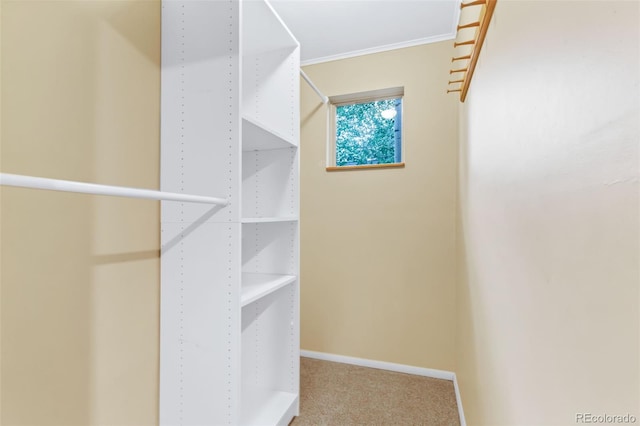 29090 Golf Way, Evergreen, CO 80439 - walk in closet with carpet flooring
