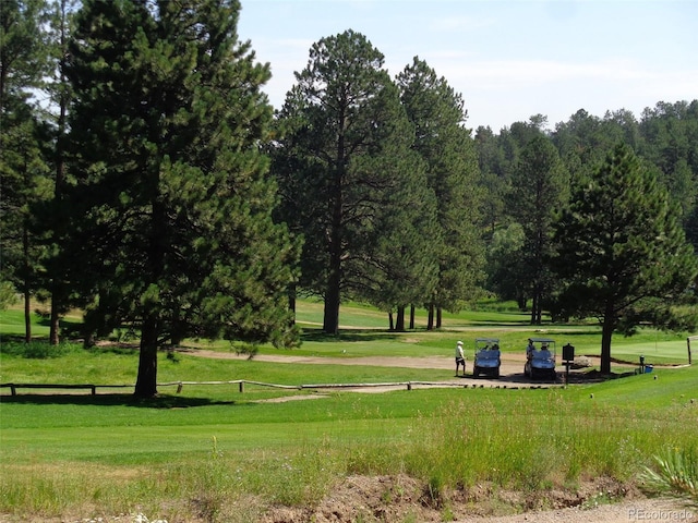29090 Golf Way, Evergreen, CO 80439 - view of community featuring a yard