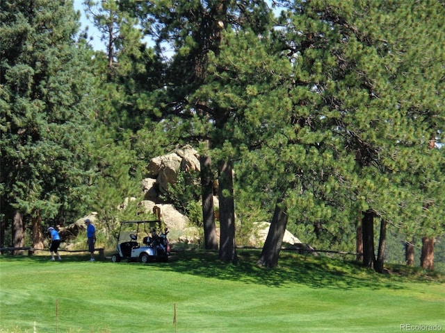 29090 Golf Way, Evergreen, CO 80439 - surrounding community with a yard