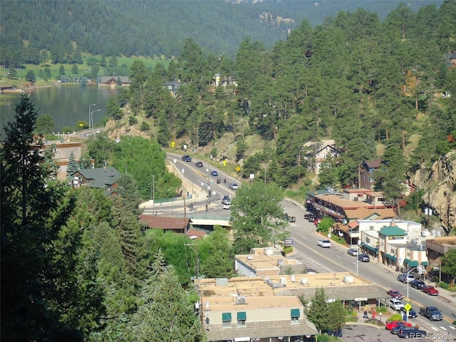 29090 Golf Way, Evergreen, CO 80439 - view of property location featuring a forest