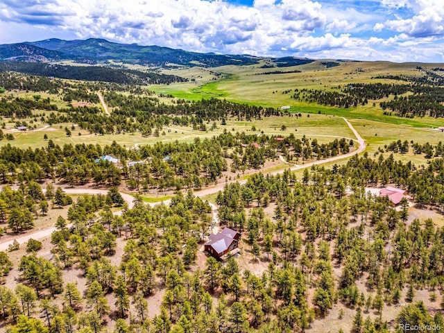 4513 County Road 323, Westcliffe, CO 81252 - view of rural area with a mountainous background