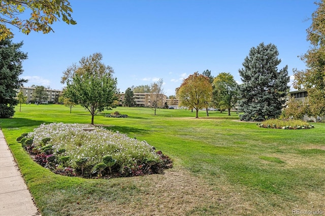 view of home's community featuring a lawn