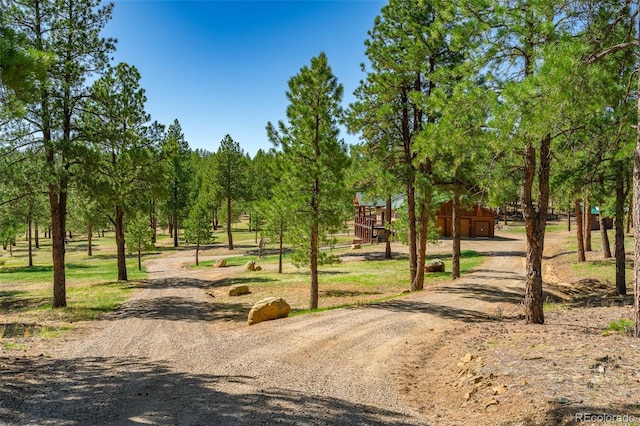 14552 Timber Valley Dr, Weston, CO 81091 - view of community