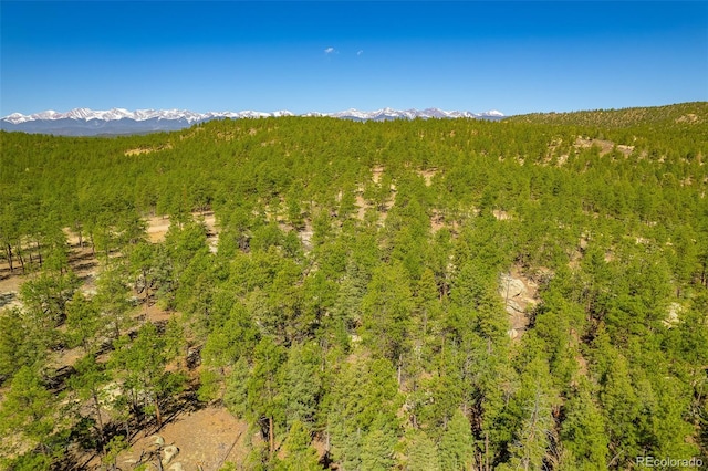 14552 Timber Valley Dr, Weston, CO 81091 - view of tree filled area featuring a mountain view