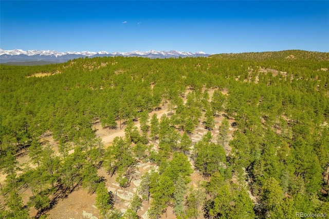 14552 Timber Valley Dr, Weston, CO 81091 - aerial view of a forest and a mountain backdrop