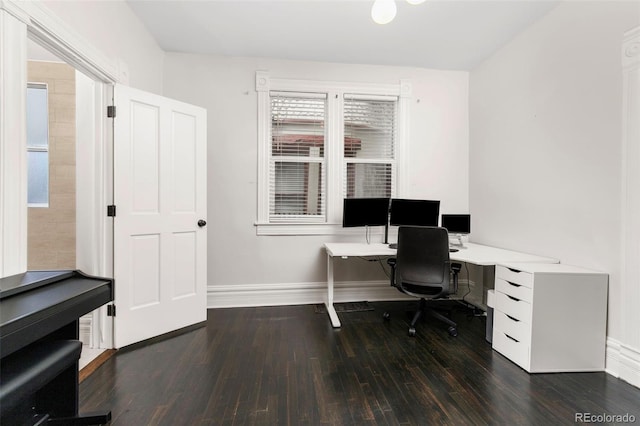 office space with dark hardwood / wood-style flooring