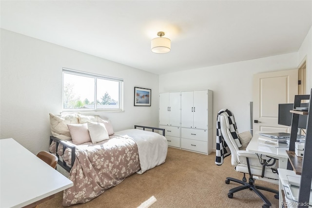 3730 Applewood St, Grand Junction, CO 81506 - bedroom with light colored carpet