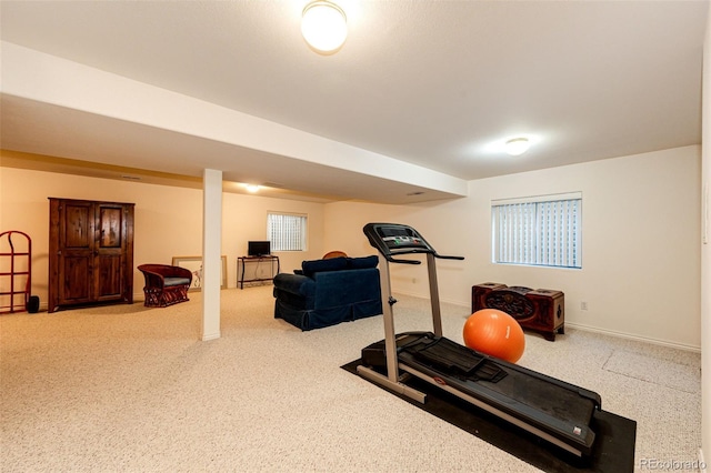 6454 S Nelson Way, Littleton, CO 80127 - exercise room with carpet and baseboards