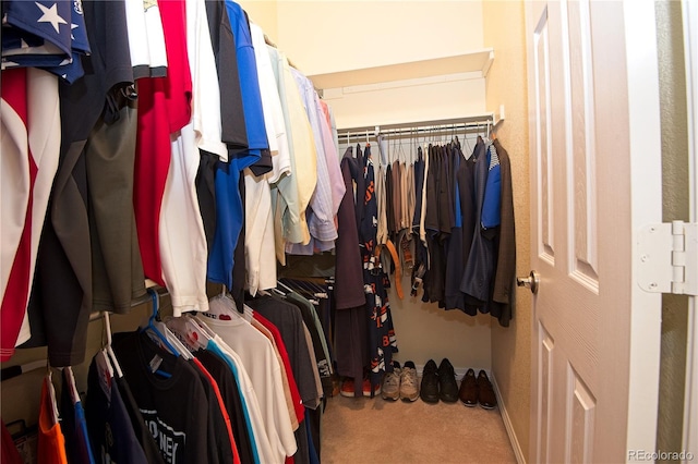 spacious closet featuring carpet flooring