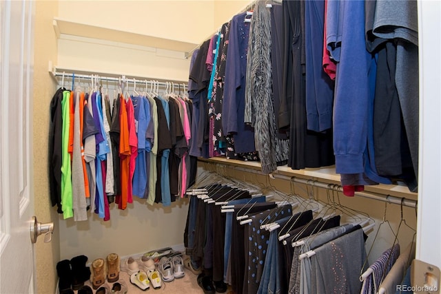 view of spacious closet