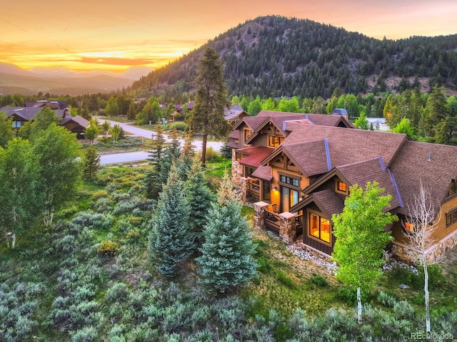 59 Gold Run Rd, Breckenridge, CO 80424 - photo 46