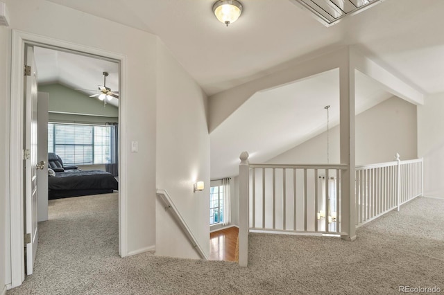 19976 E Williamette Ln, Centennial, CO 80015 - photo 20