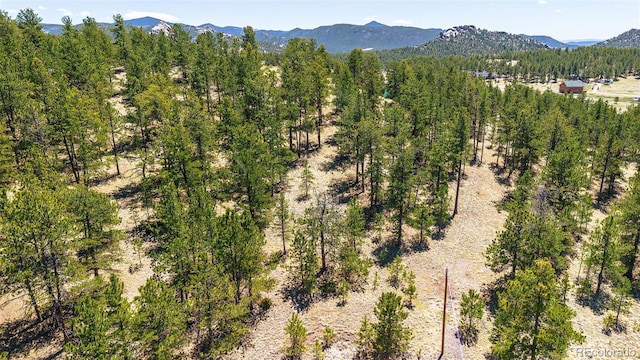 56 Dallas Park Cir, Florissant, CO 80816