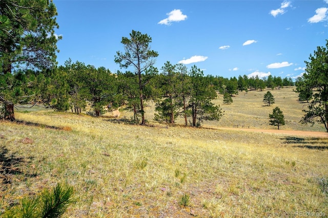 56 Dallas Park Cir, Florissant, CO 80816