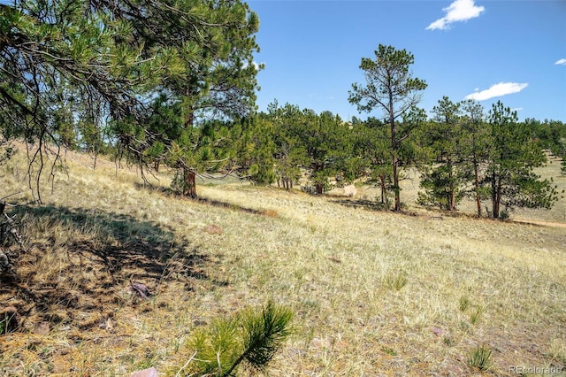 56 Dallas Park Cir, Florissant, CO 80816