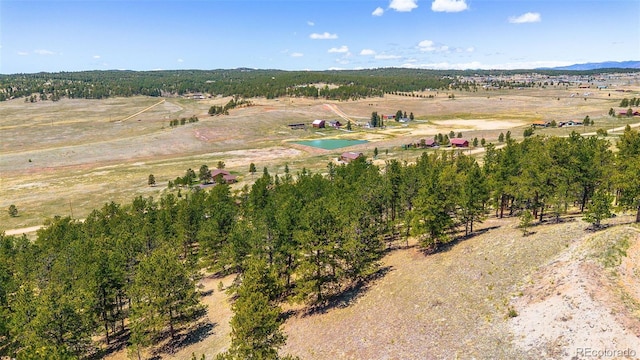 56 Dallas Park Cir, Florissant, CO 80816
