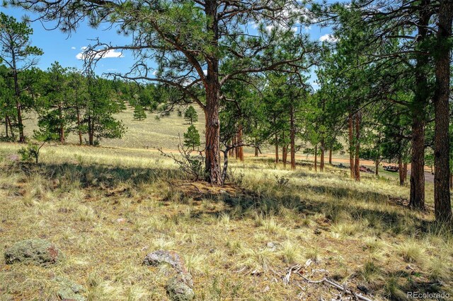 56 Dallas Park Cir, Florissant, CO 80816